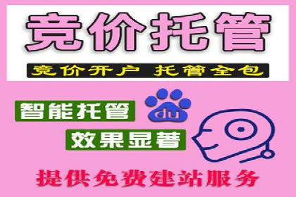 SEM主管如何制定有效的广告投放计划——案例分析